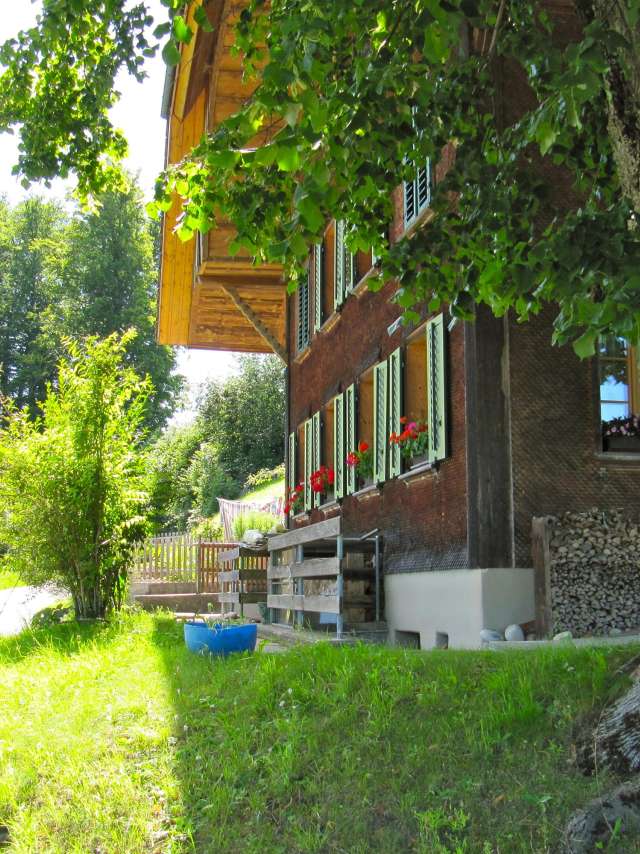 04: Holzsammelstelle Kaltacker 