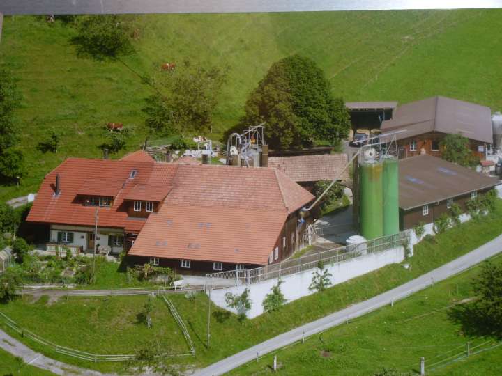 Bauernhof Nyffeler, Gondiswil