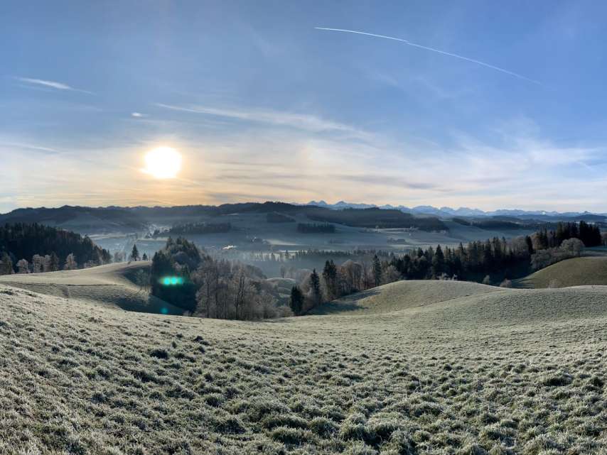 November-Blues Kalender