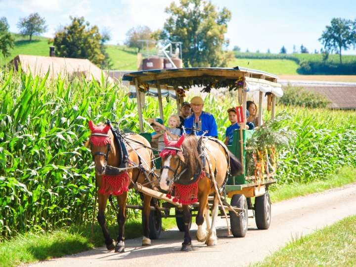 Bauernhof Nyffeler, Häusernmoos