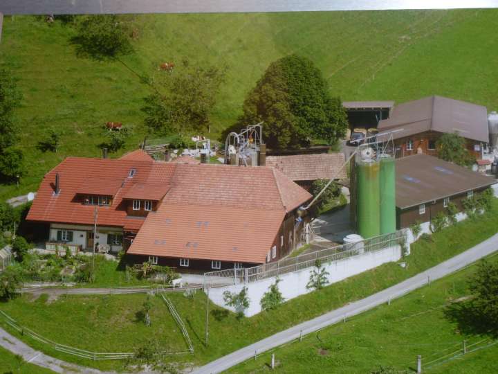 Bauernhof Nyffeler, Gondiswil