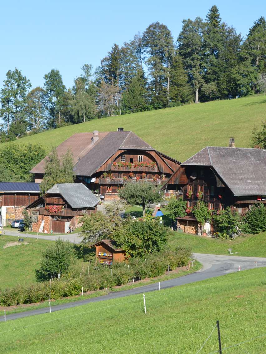 Gerber Hof